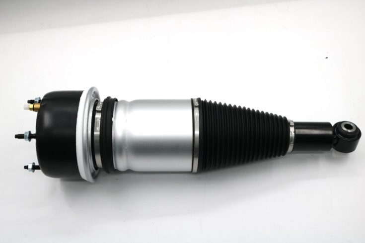 Rear air strut 1