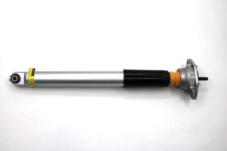 Rear air strut 1