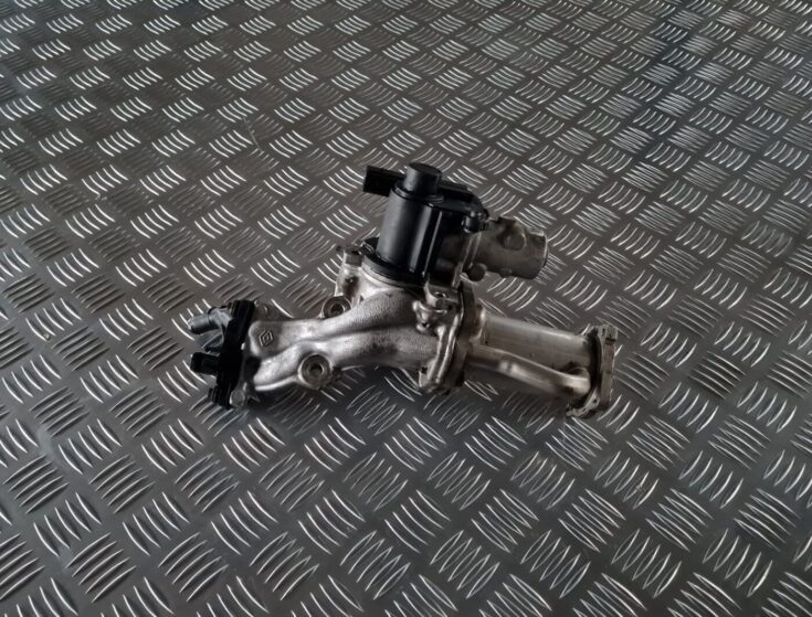 EGR vārsta dzesētājs priekš RENAULT LAGUNA 2008
